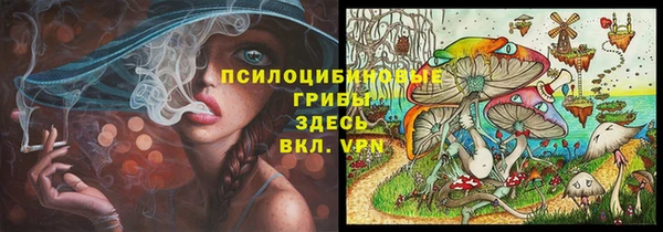 ПСИЛОЦИБИНОВЫЕ ГРИБЫ Арсеньев