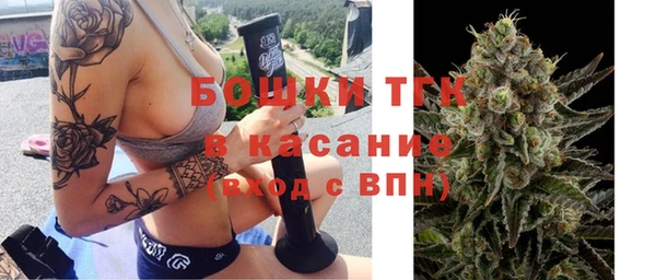 ПСИЛОЦИБИНОВЫЕ ГРИБЫ Арсеньев