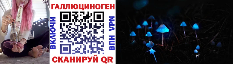 Галлюциногенные грибы Magic Shrooms  Купить  Зеленодольск 